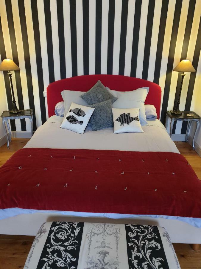 Bed and Breakfast Au Nid De La Madeleine Gaillac Zewnętrze zdjęcie